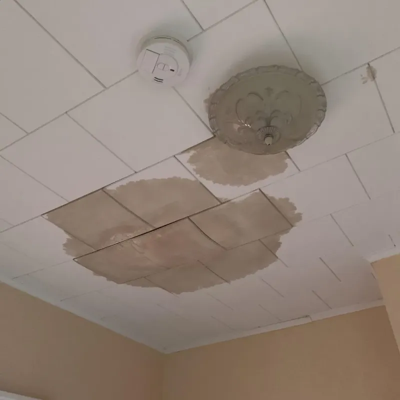 Ceiling Water Damage Repair in Abbeville County, SC