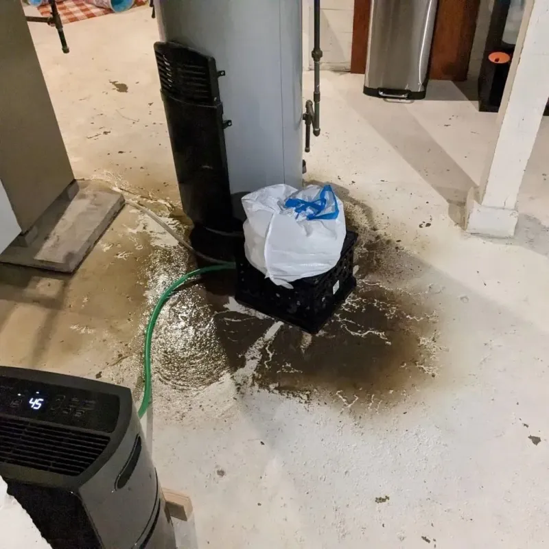 Sewage Backup Cleanup Service in Abbeville County, SC